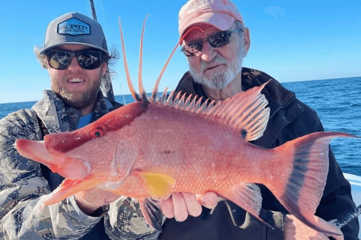 Nearshore Half-Day (4-Hour)